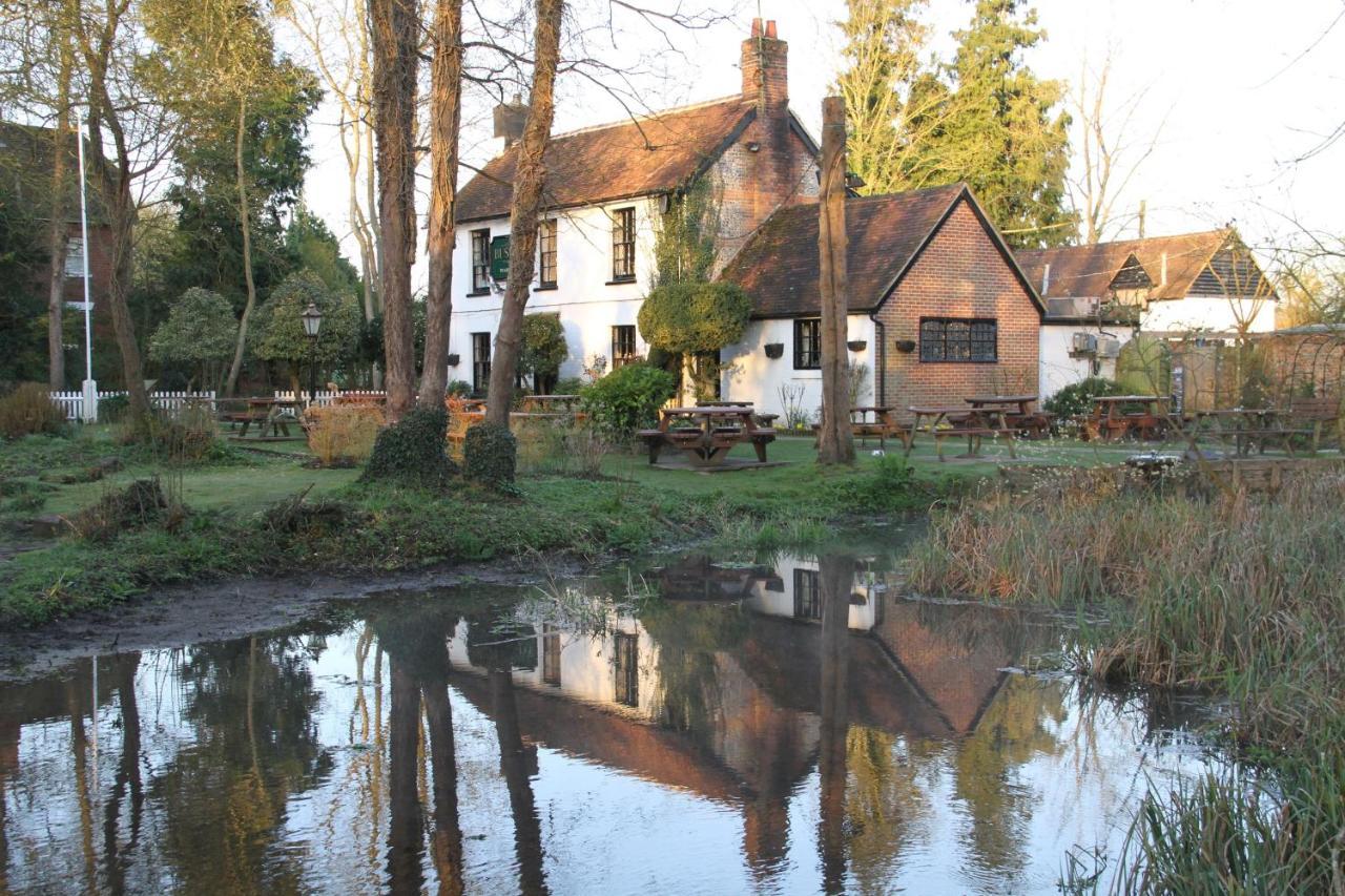 Ovington  Lane End Cottage מראה חיצוני תמונה