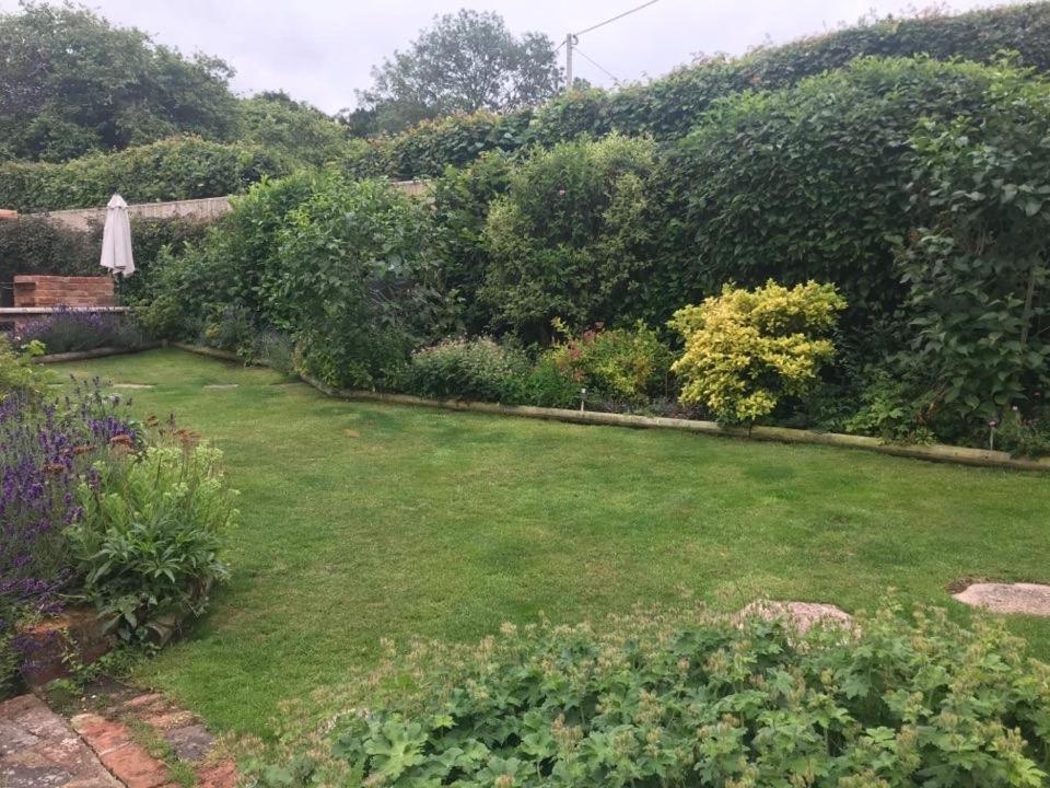 Ovington  Lane End Cottage מראה חיצוני תמונה